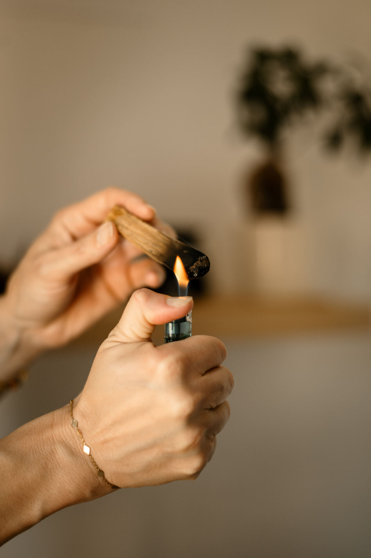 Rituel énergétique, accompagnement ménopause à Véranne